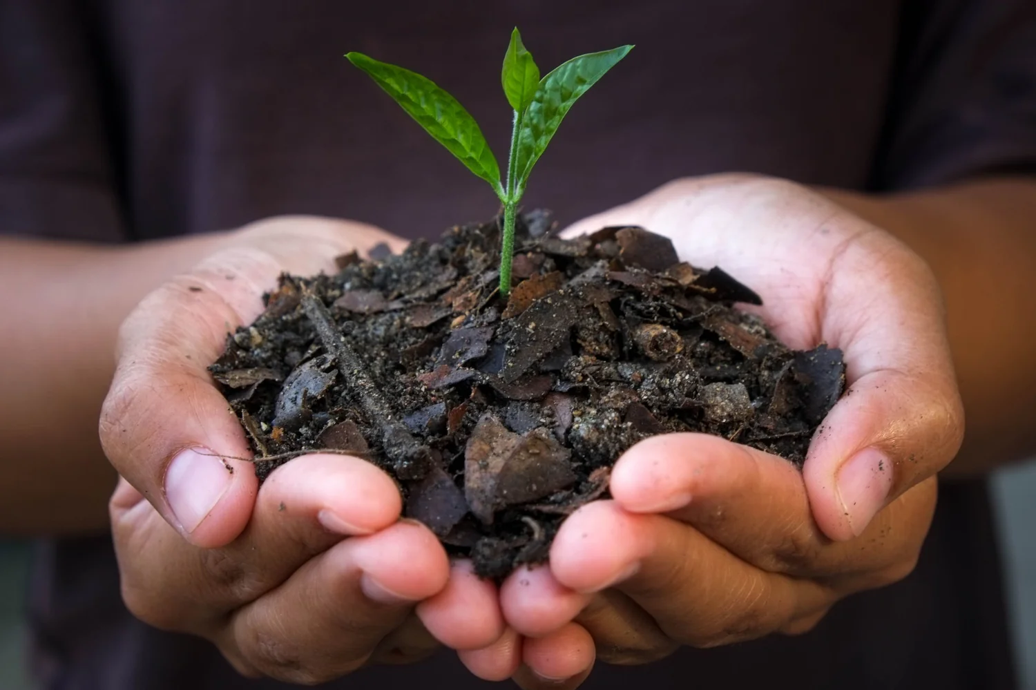 Processed material is delivered to power plants across Scandinavia